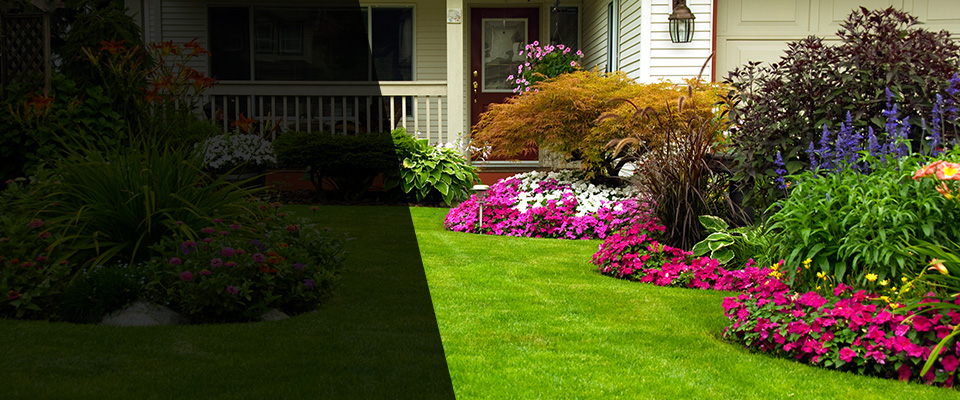 San Luis Landscapers