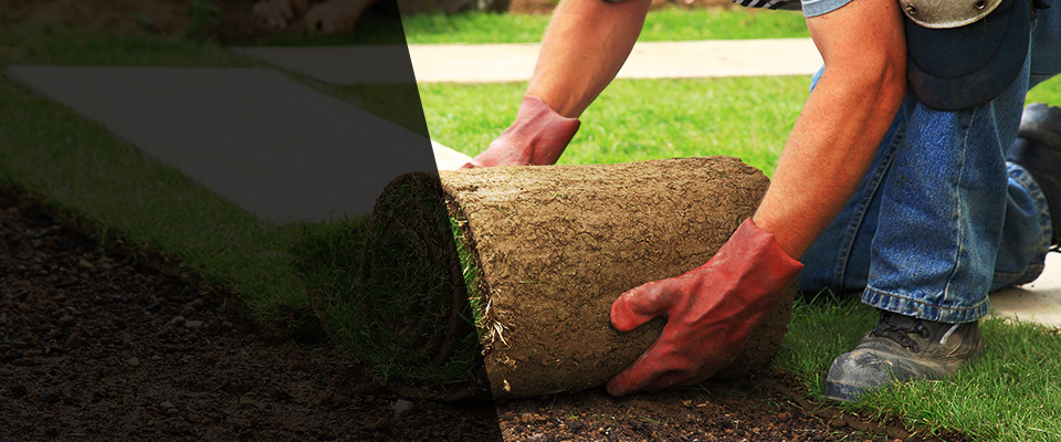 San Luis Landscapers